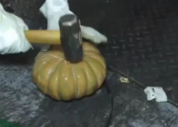 Arrestan a presunto implicado en alijo de 624 kg de cocaína en puerto caucedo