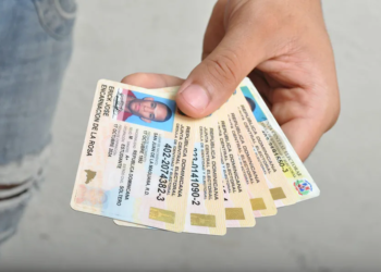 ¿y la cédula… en qué está?