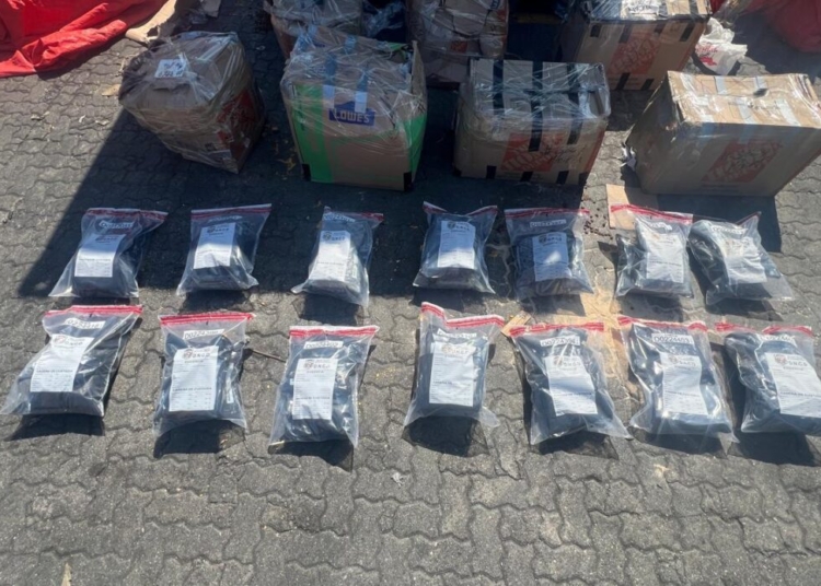 Dncd incauta 46 paquetes de marihuana en el puerto de haina