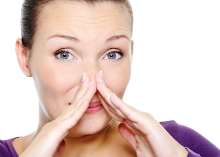 Importancia de los pelos de la nariz para filtrar el aire y prevenir infecciones respiratorias