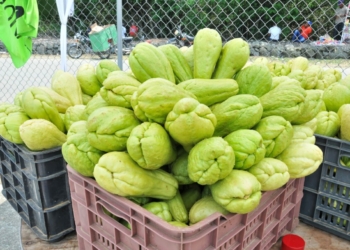 Dominicanos comen más tayota y mango, menos res y naranja en la última década