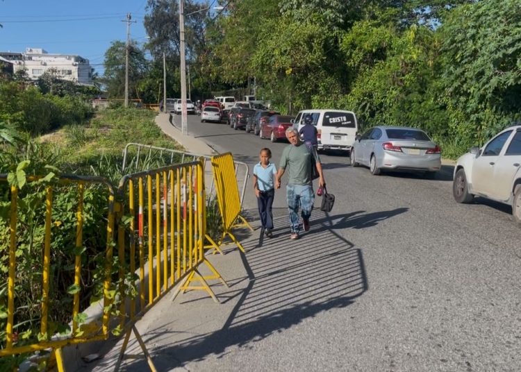 Aceras severamente dañadas y en mal estado en la calle Ercilia Pepín, Arroyo Hondo II, Santo Domingo, obligando a los peatones a usar la calle.