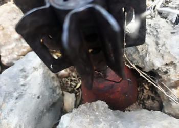 Hallan posible bomba antigua en el morro de montecristi; esperan equipo especializado