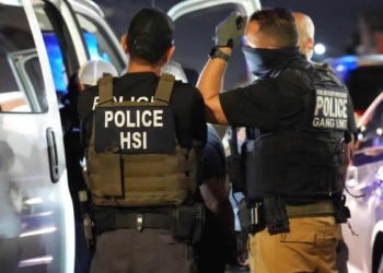 Aumentan arrestos de dominicanos en puerto rico por licencia de conducir