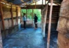 Personal de GoldQuest Dominicana instalando pisos de cemento en una vivienda en San Juan de la Maguana.
