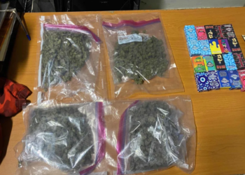 Arrestan a joven estadounidense en aila con presunta marihuana en equipaje
