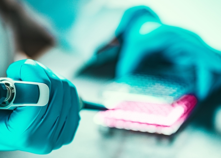 Female scientist researching samples in laboratory