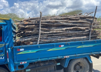 Detienen camión con carga ilegal de madera en montecristi