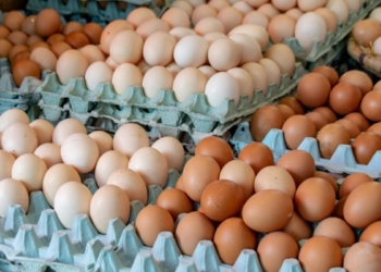 Trump demanda a california por precio de los huevos