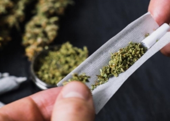Fumar mucha marihuana aumenta en más de 4 veces el riesgo de cáncer oral, según estudio