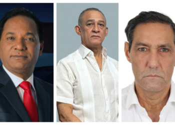 Luis abinader designa a nuevos titulares en la dgdf, el zoológico nacional y promese/cal