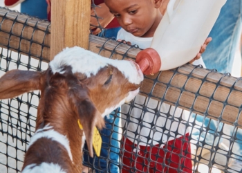 Sanut convierte su agrotienda en un "día de campo en la ciudad"