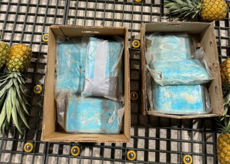 Dncd incauta 30 paquetes de cocaína ocultos en cajas de piñas en el aeropuerto de punta cana