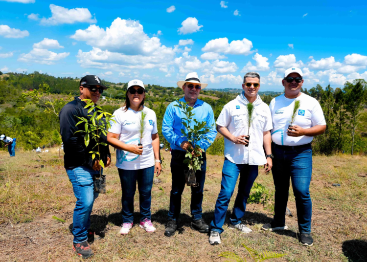 Desde la izquierda, los señores José Oscar Rodríguez, Dabeida Agramonte, William Guzmán, Nicolás Roques y Leonel Ng.