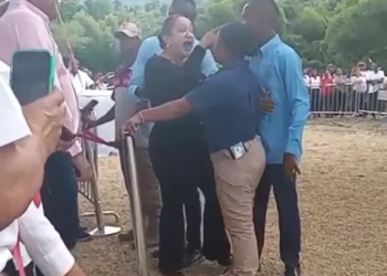 Incidente entre diputada fiordaliza estévez y una mujer de la seguridad presidencial en puerto plata