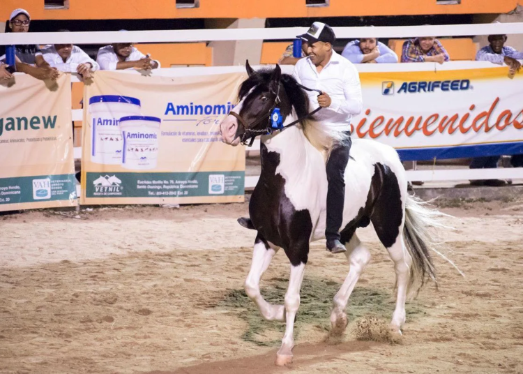 Montaña mágica: la gran cabalgata 2025 unirá naturaleza y cultura en san josé de ocoa