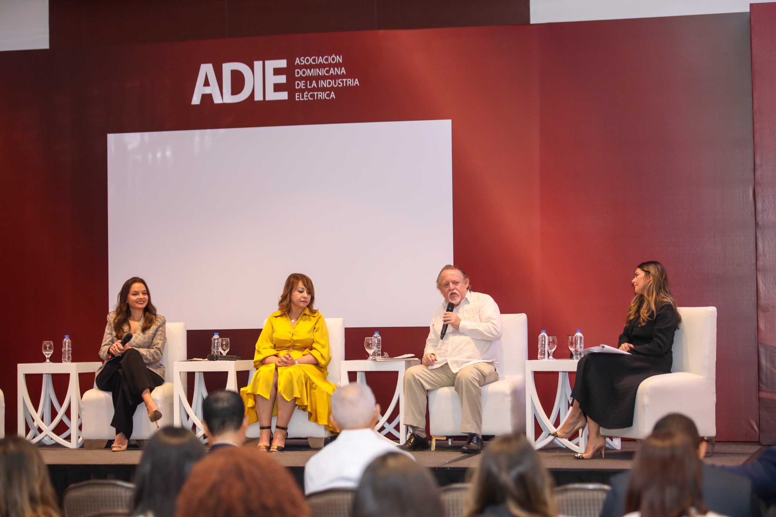 “Visión económica y financiera del sector eléctrico