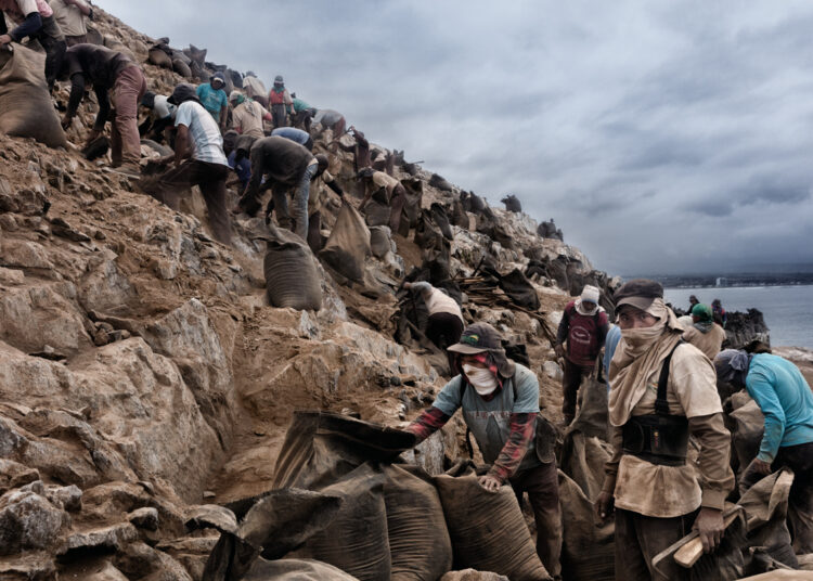 El guano, un tesoro agrícola bajo amenaza en perú