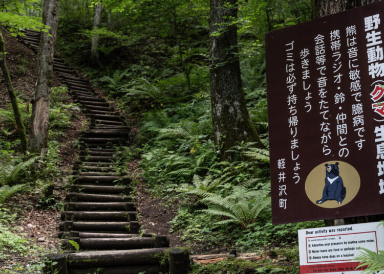 Gobernador japonés pide ayuda militar ante ataques de osos