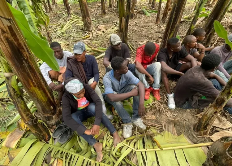 Ejército ocupa motocicletas utilizadas para transporte ilegal de extranjeros y detiene a 11 indocumentados