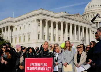 ¿cuándo y qué documentos del archivo epstein se van a publicar?