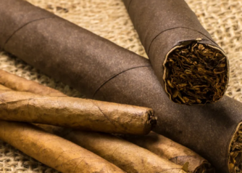 Suspensión de global cigars se debe a plaga del tabaco