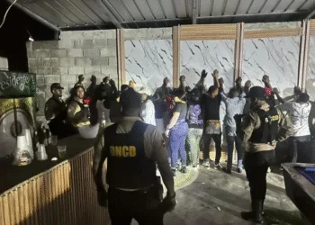 Detienen nueve personas y confiscan drogas durante allanamientos en san cristóbal