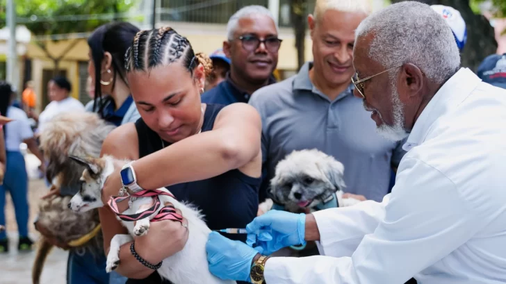 Salud pública vacunará a perros y gatos contra la rabia de forma gratuita
