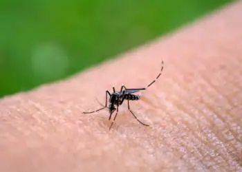 Salud pública confirma tres casos importados de chikungunya