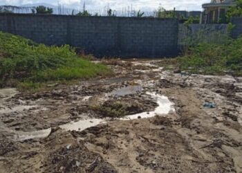 Brote de agua subterránea inunda el barrio “el capa” de vicente noble