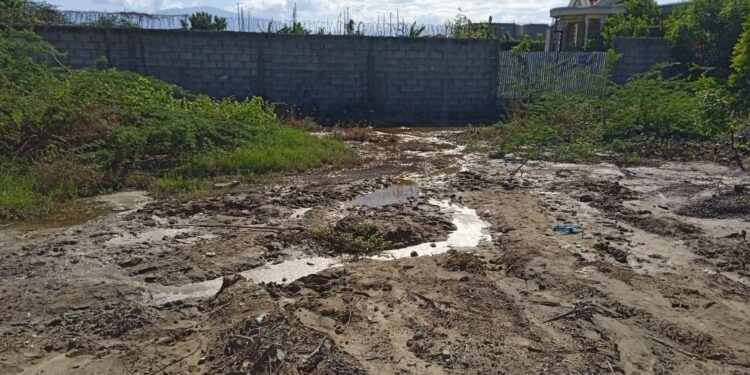 Brote de agua subterránea inunda el barrio “el capa” de vicente noble