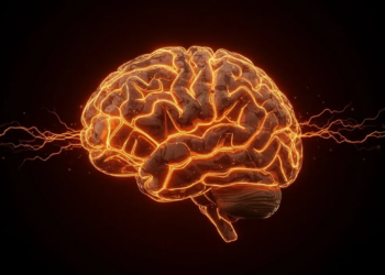 Detectan un gen que reduce el 'ruido' en el cerebro, calma la mente y mejora la atención