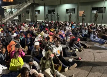 Ejército y migración detienen 250 haitianos e incautan cleren en constanza