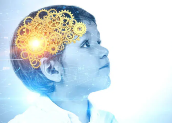 Revelan que el cerebro está ‘preconfigurado’ antes de nacer