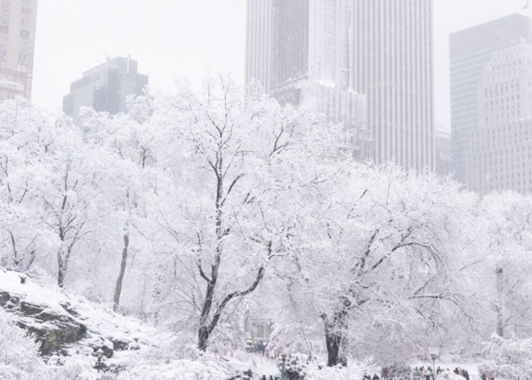 Central park amanece nevado tras primera gran nevada de la temporada en nueva york