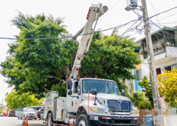 Edesur construirá nuevas redes para subestación alfa