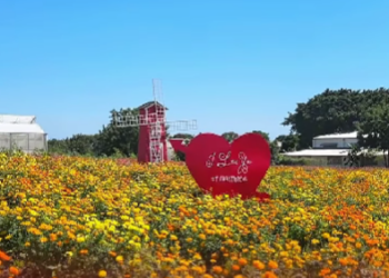 Tierra tropical celebra san valentín 14 y 15 de febrero