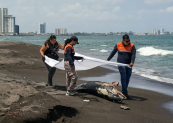 Retiran 30 toneladas de carburante derramado en el golfo de méxico