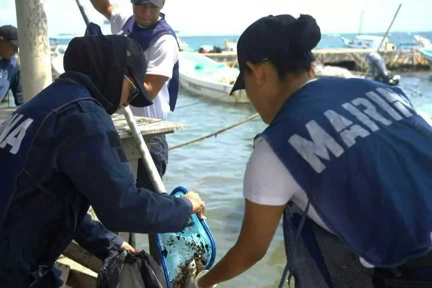 Retiran 128 toneladas de crudo del golfo de méxico tras un derrame
