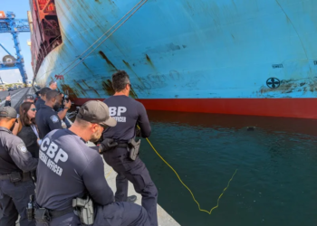 Uso de robots submarinos: la nueva arma de ee. Uu. Contra el narco en los barcos