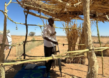 Sobrevivientes narran el horror de las "prisiones contenedor" de las rsf en darfur