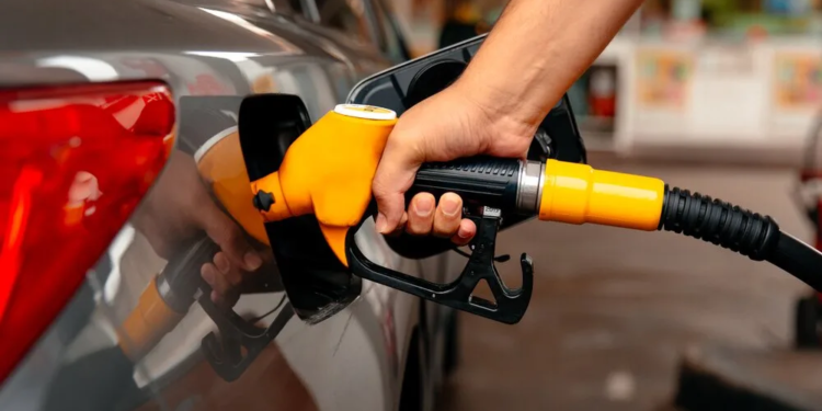 Combustibles