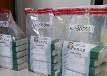 Dncd incauta más de 17 mil gramos de presunta cocaína en los alcarrizos
