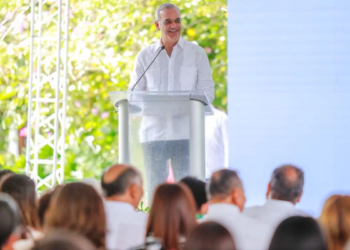 Abinader crea comisión para conmemorar el centenario de minerva mirabal
