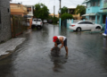 Salud pública reporta 74 casos de leptospirosis en el pais