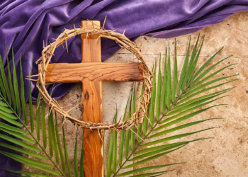 xr:d:DAGAvkRQ_e8:5,j:8792575407752760845,t:24032723