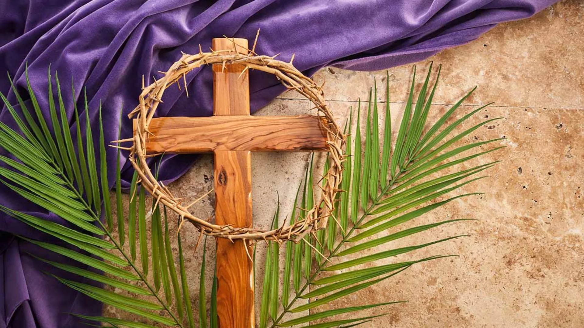 xr:d:DAGAvkRQ_e8:5,j:8792575407752760845,t:24032723