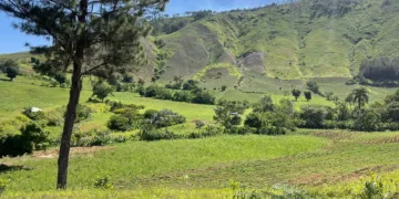 San juan: donde el oro pesa menos que el agua