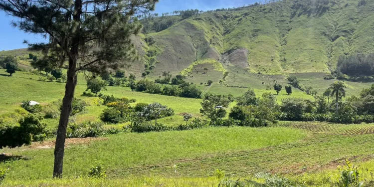 Medio ambiente: proyecto minero en san juan está en fase de evaluación técnica