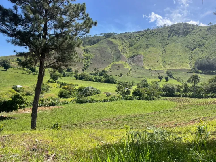 Medio Ambiente: Proyecto minero en San Juan está en fase de evaluación técnica Medio ambiente: proyecto minero en san juan está en fase de evaluación técnica